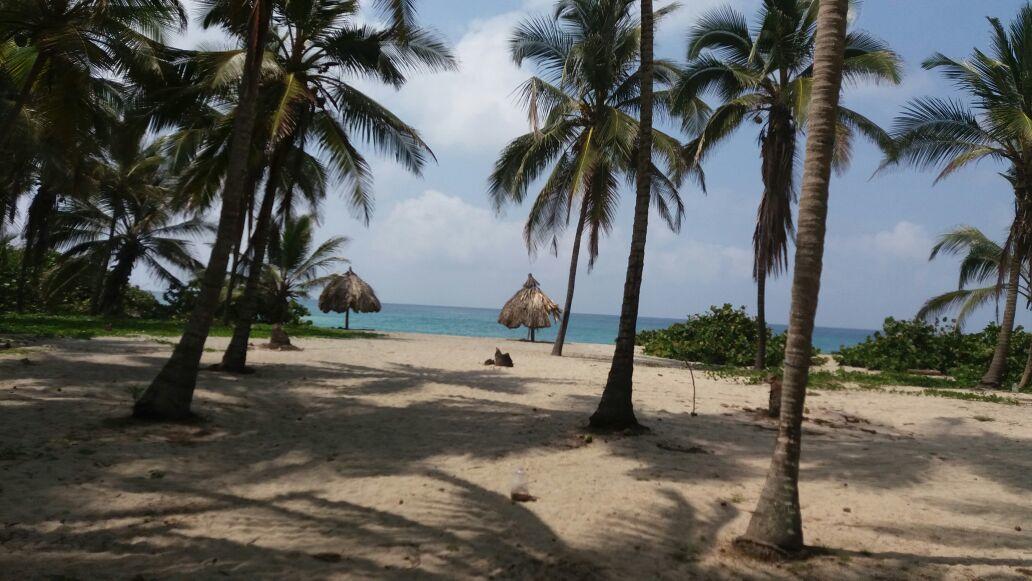 לינה וארוחת בוקר אל סאינו Camping Castilletes Parque Tayrona מראה חיצוני תמונה